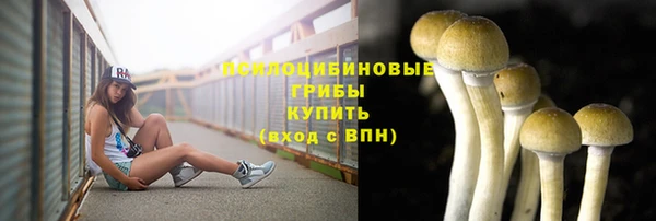 герыч Балахна