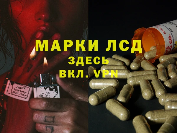 герыч Арсеньев