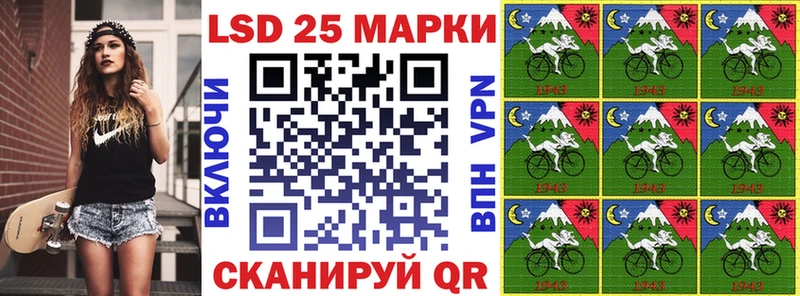 дарнет шоп  omg ссылка  Марки N-bome 1500мкг  Воркута 