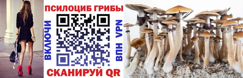 hydra tor  Воркута  Галлюциногенные грибы Psilocybe  сколько стоит 